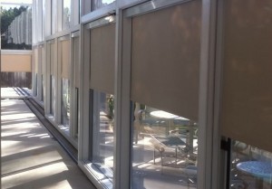 Motorized Blinds 