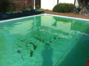 Yellow Pool? How to Get Rid of Mustard Algae Now!