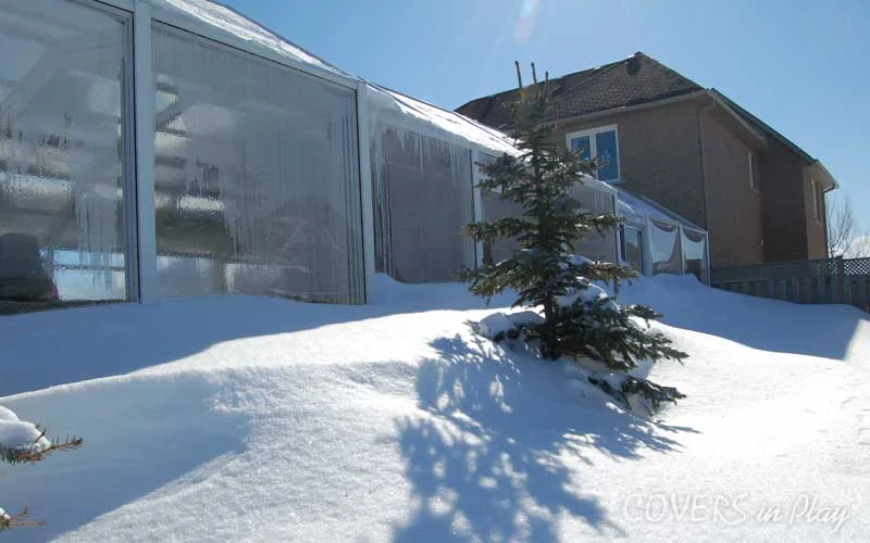 Close up view of the exterior side of the enclosure, with a tree buried in snow.